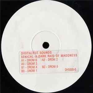 Senical - A Dark Raid Of Madness mp3