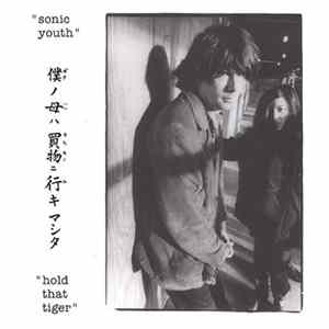 Sonic Youth - Hold That Tiger mp3