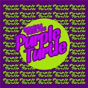 Rjabinski & Sasha Plus - Purple Turtle mp3