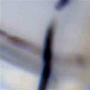 Stoklov - Brightness From The Future mp3
