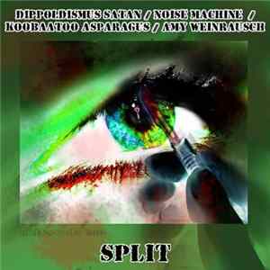 Dippoldismus Satan / Noise Machine / Koobaatoo Asparagus / Amy Weinrausch - Split mp3
