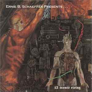 Various - 13 Scenes Rising mp3