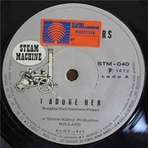 The Walkers - I Adore Her / Go Down Old Hannah mp3