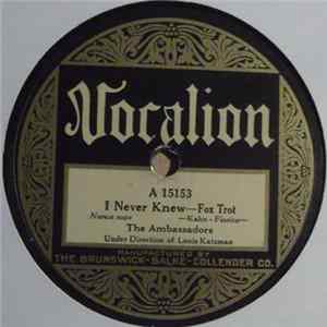 The Ambassadors - I Never Knew / That Certain Party mp3