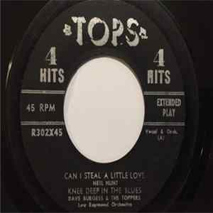 Neil Hunt / Dave Burgess & The Toppers - Can I Steal A Little Love mp3