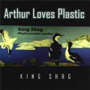 Arthur Loves Plastic - King Shag mp3