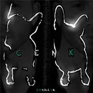 30thi3k - CENK mp3