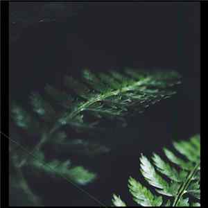 Paul Mitchell - Earthen mp3