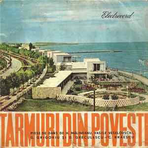 Various - Țărmuri Din Povești mp3