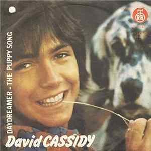 David Cassidy - Daydreamer / The Puppy Song mp3