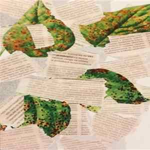 Arturas Bumsteinas - Reading Newspaper mp3