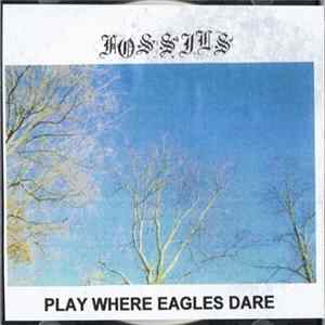 Fossils - Play Where Eagles Dare mp3