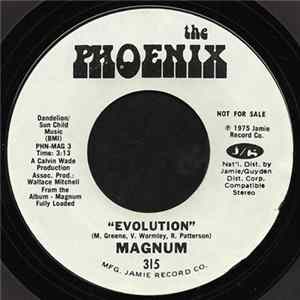 Magnum - Evolution / Your Mind mp3