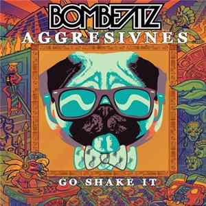 Aggresivnes - Go Shake It mp3