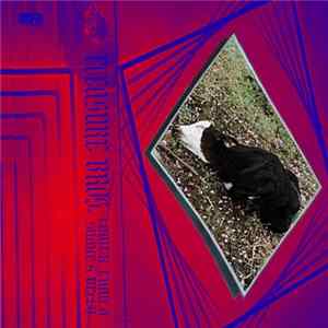 Pleasure Bros. - Lower Than A Snake's Belly mp3