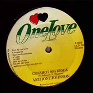 Anthony Johnson - Gunshot 90's Remix mp3