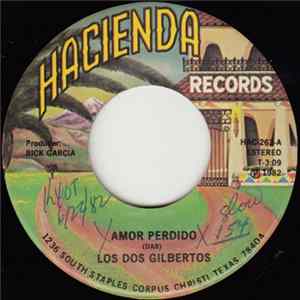 Los Dos Gilbertos - Amor Perdido mp3