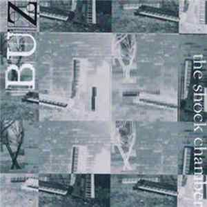 Buz - The Shock Chamber mp3