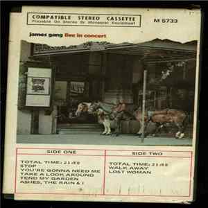 James Gang - Live In Concert mp3