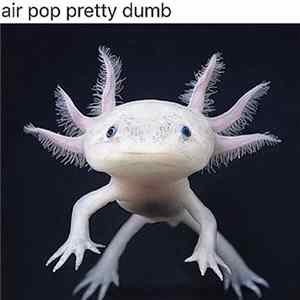 Air Pop - Pretty Dumb mp3