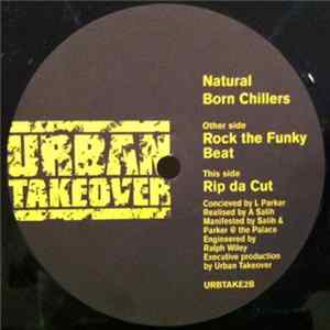 Natural Born Chillers - Rock The Funky Beat mp3