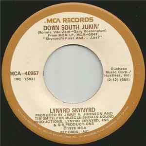 Lynyrd Skynyrd - Down South Jukin' mp3