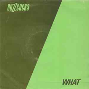 Buzzcocks - What Do I Get? mp3