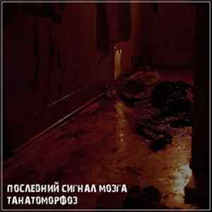 Последний Сигнал Мозга - Танатоморфоз mp3