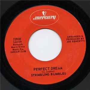 Strimbling Blimbles - Perfect Dream mp3