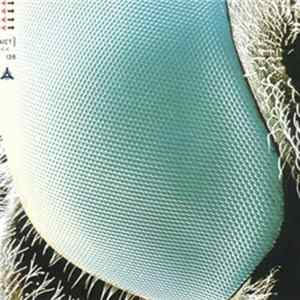 Boom Boom Satellites - Fogbound mp3