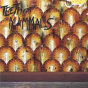 Teeth Of Mammals - Teeth Of Mammals mp3