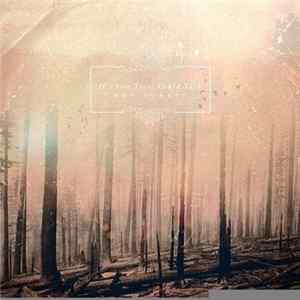 If These Trees Could Talk - Red Forest mp3