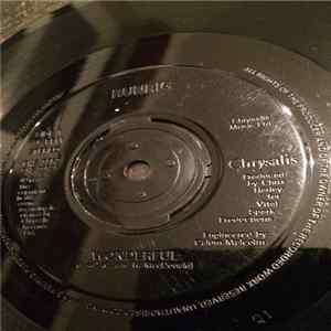 Runrig - Wonderful mp3