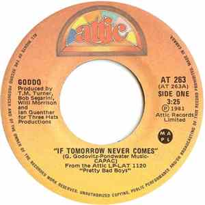 Goddo - If Tomorrow Never Comes mp3