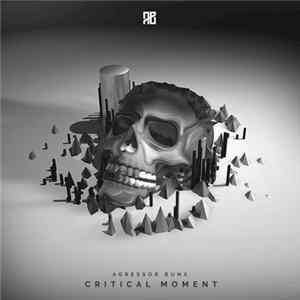 Agressor Bunx - Critical Moment EP mp3