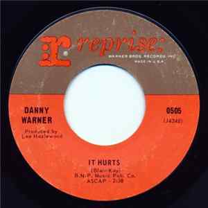 Danny Warner - It Hurts / Not The Lovin' Kind mp3