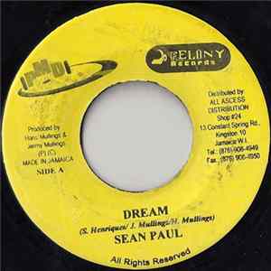 Sean Paul - Dream mp3