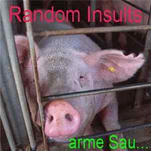 Random Insults - Arme Sau mp3