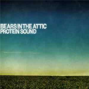 Bears In The Attic - Protein Sound mp3