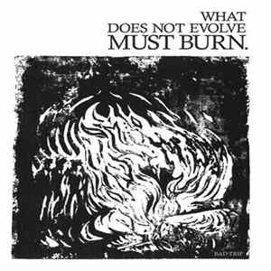 Bad Trip - What Does Not Evolve Must Burn mp3