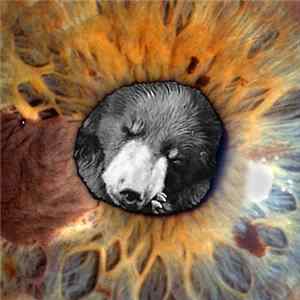 Given Willingly - One Day You Will Grow Tired mp3