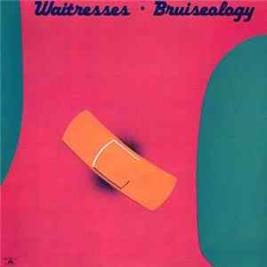 The Waitresses - Bruiseology mp3