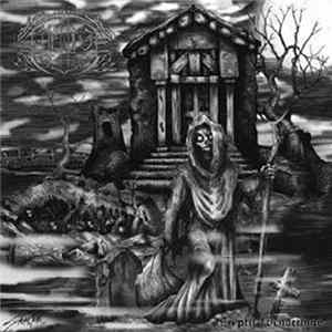 Amnion - Cryptic Wanderings mp3