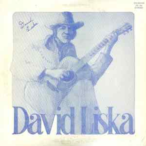 David Liska - Startin All Over Again mp3