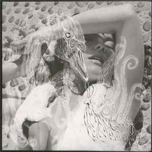 Björk - Verspertine mp3