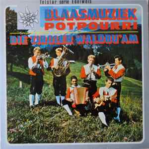 Die Tiroler Waldbu'am - Blaasmuziek Potpourri mp3