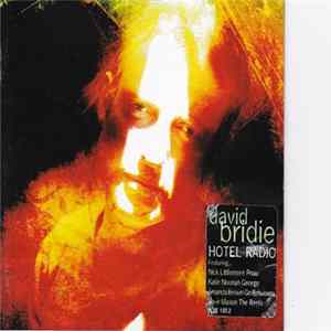 David Bridie - Hotel Radio mp3