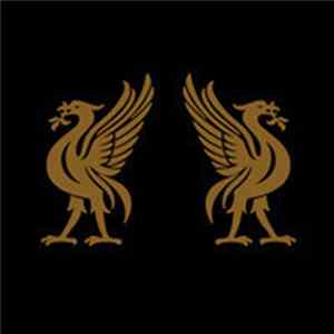 Joey Cape & Jon Snodgrass - Liverbirds mp3