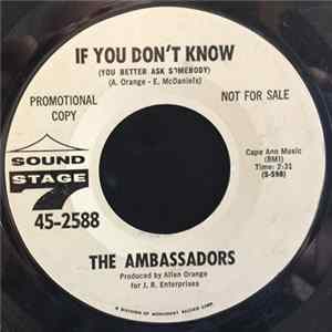 The Ambassadors - If You Dont Know mp3