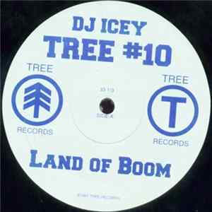 DJ Icey - Land Of Boom / As If mp3